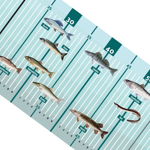 Fischlineal fischmaßband - fischlineal,